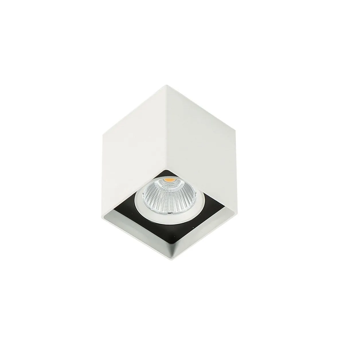 Alden White Black, nowoczesna lampa natynkowa, biało czarna, LED, 4000K, SLC78002/12W 4000K WH+BL
